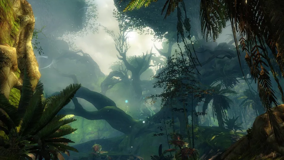 A misty jungle area in Auric Basin.